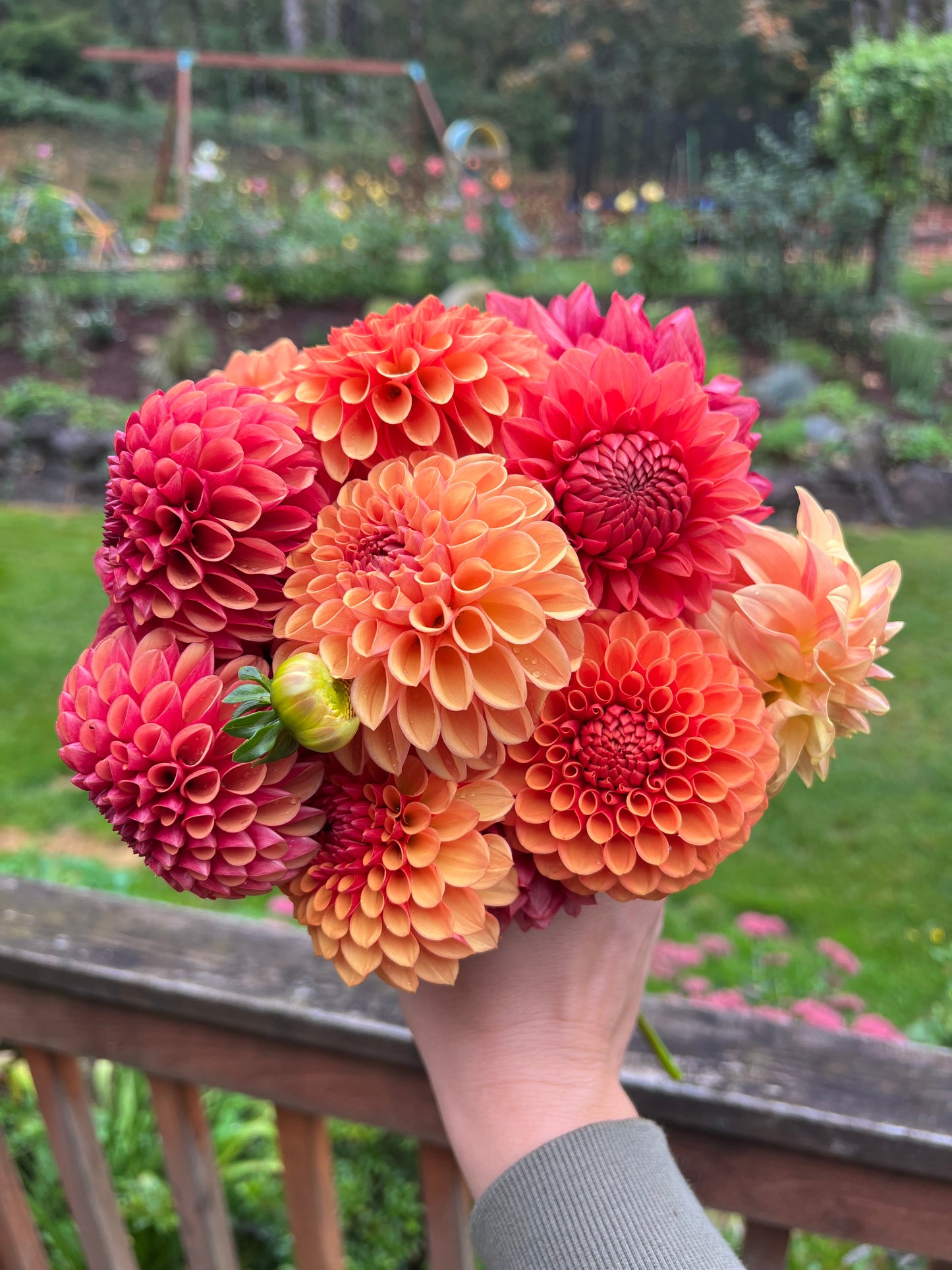 Dahlia Bouquet