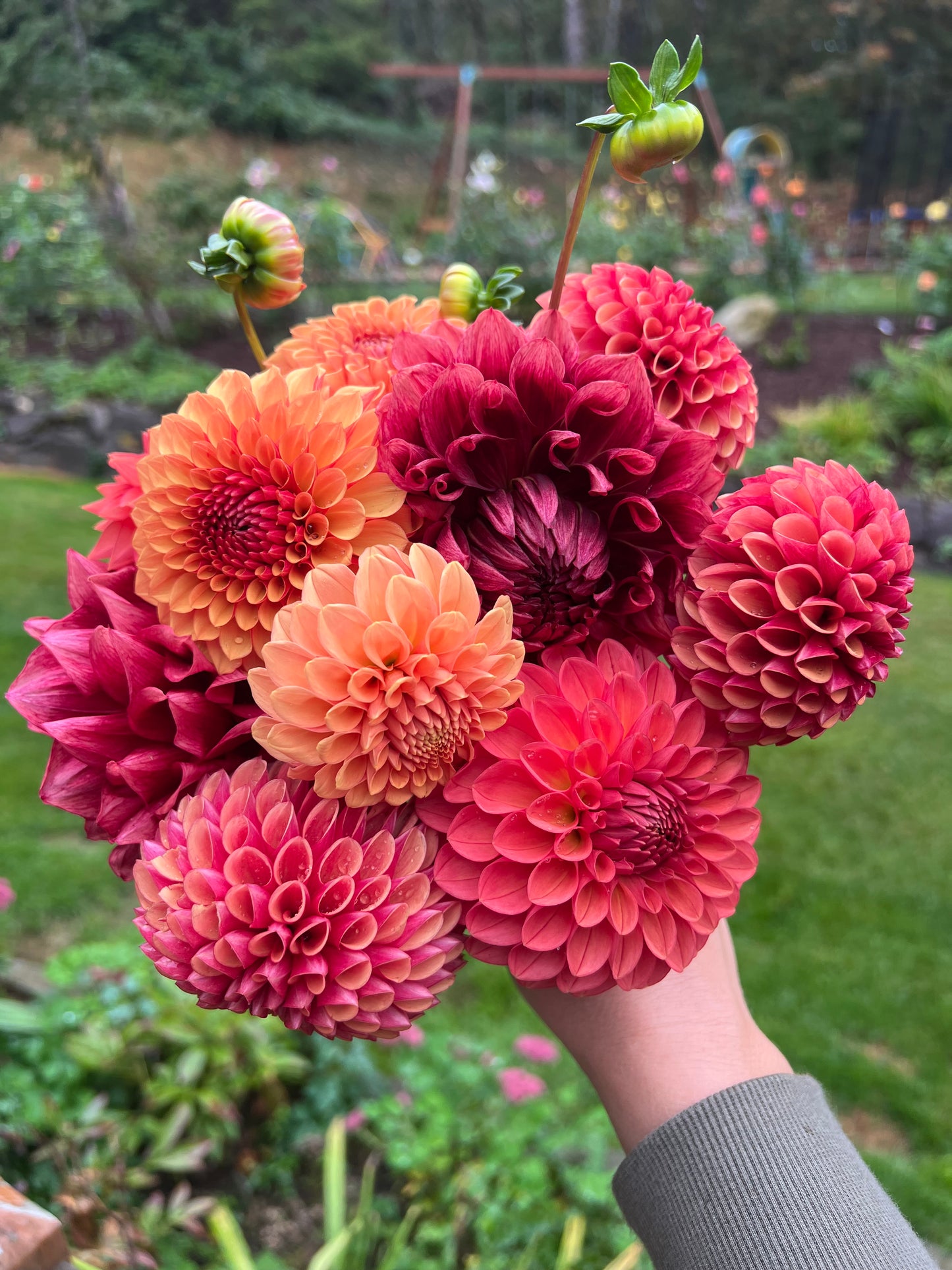 Dahlia Bouquet