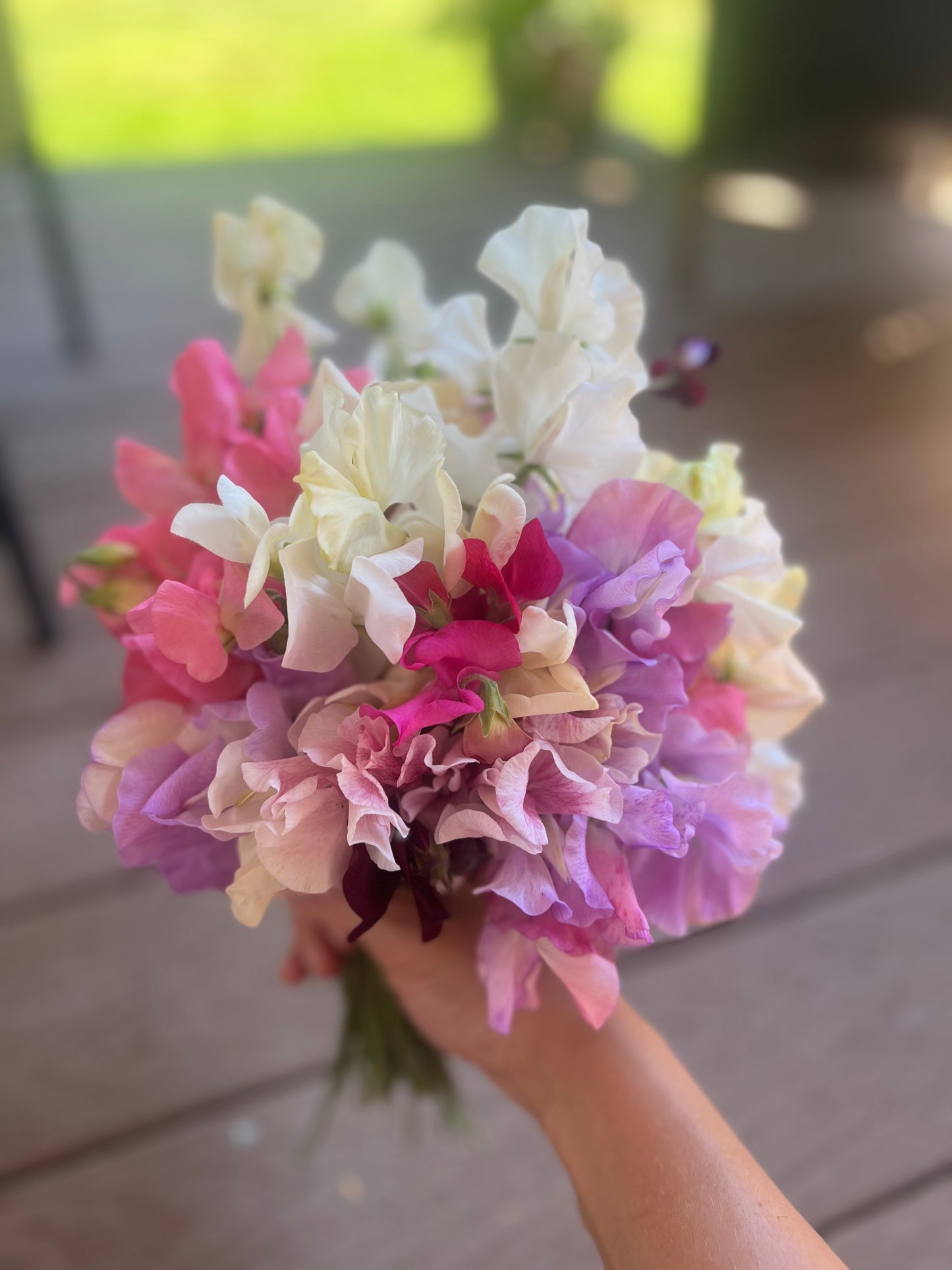Sweet Pea Bouquet