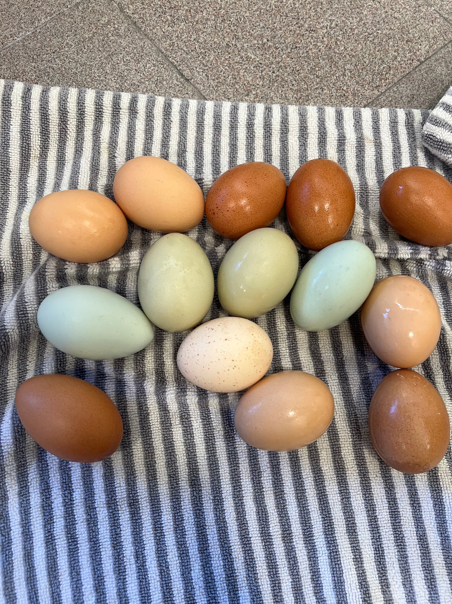 Dozen Farm Fresh Eggs