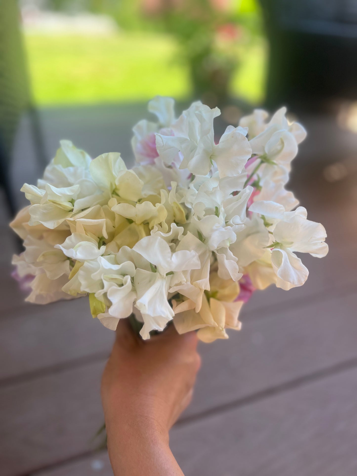 Sweet Pea Bouquet