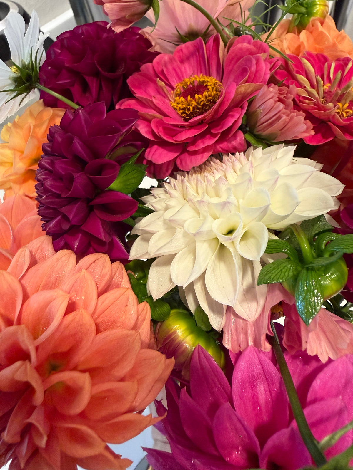 Flower Club, Bouquets & Floral Gifts