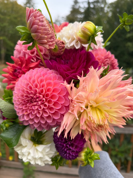 Dahlia Bouquet