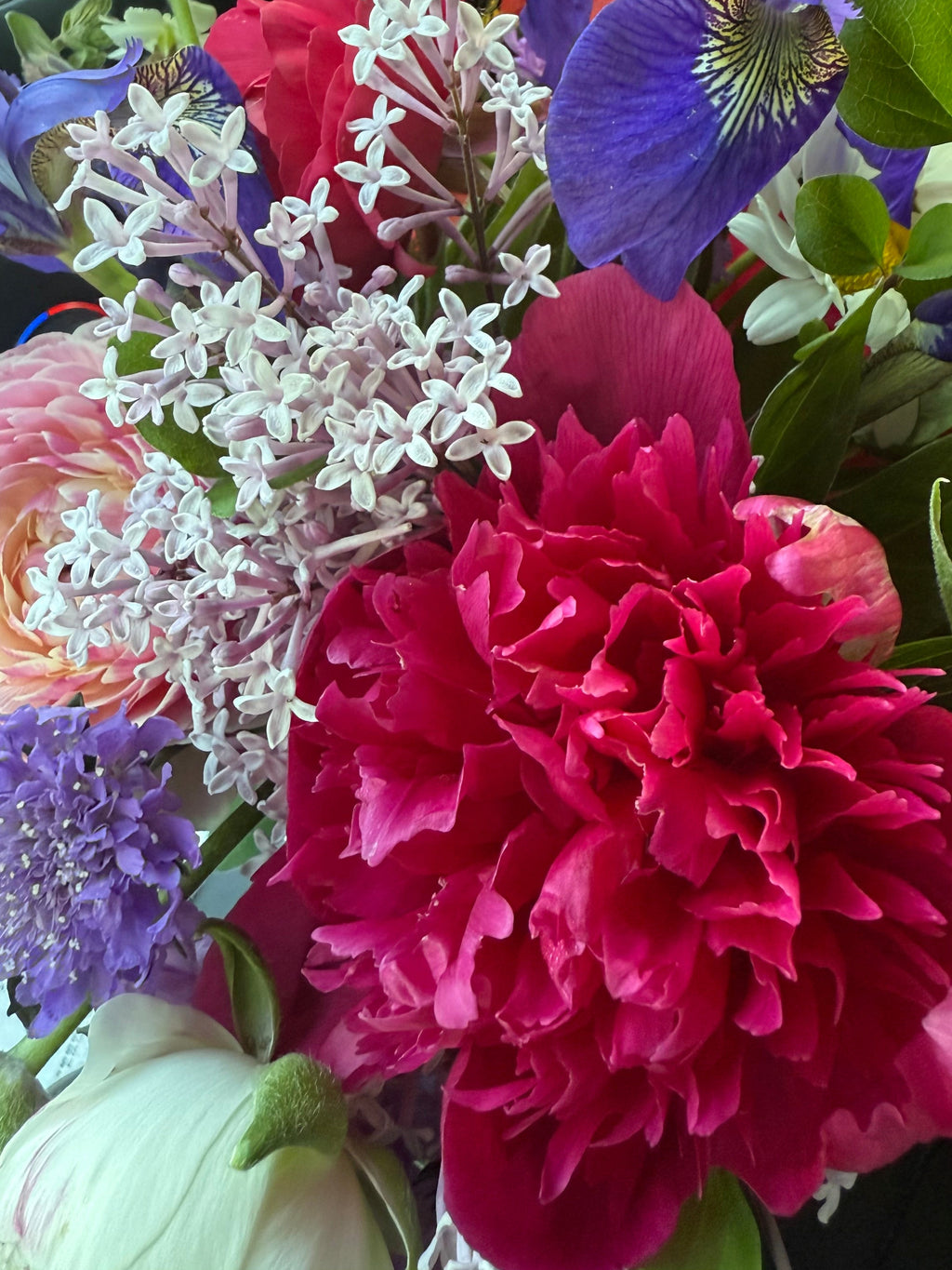 Spring Flower Club