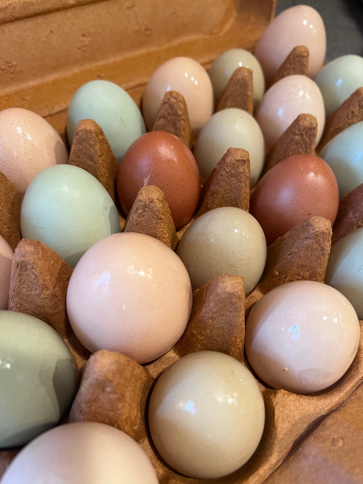 Weekly m’Egg Subscription