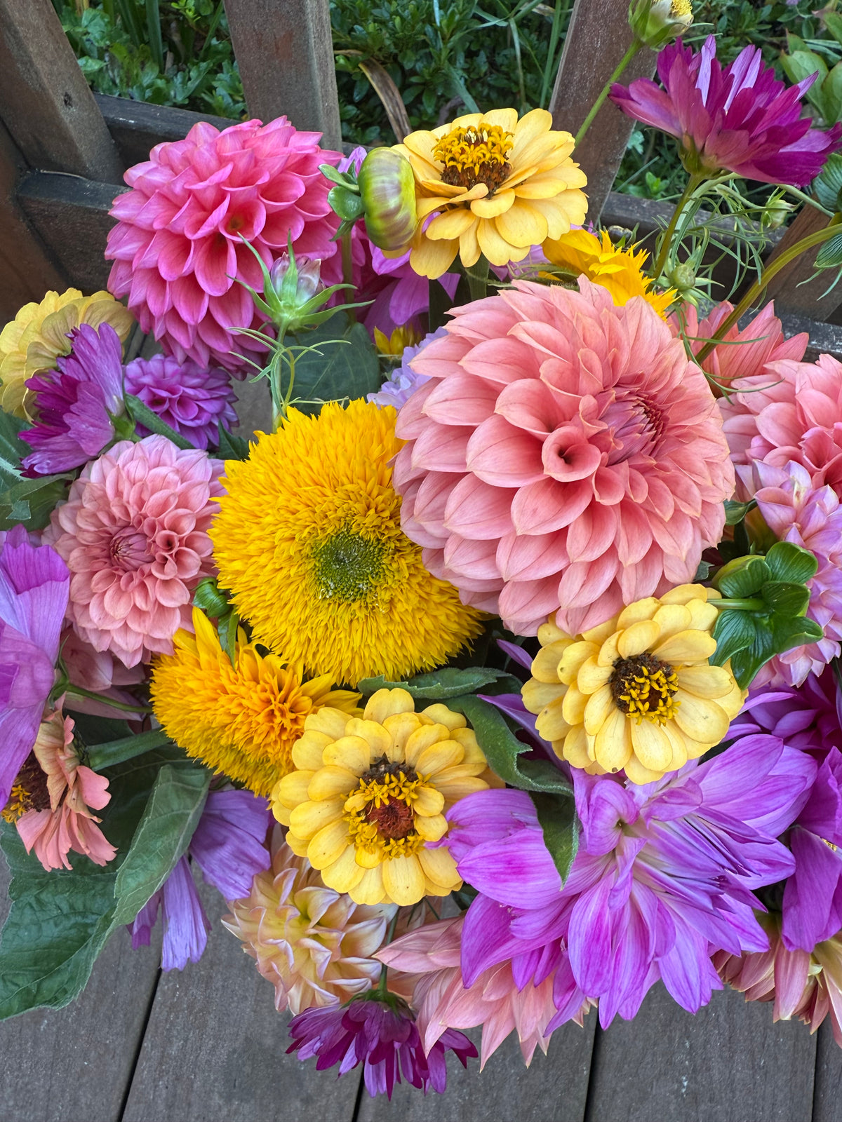 Summer Flower Club