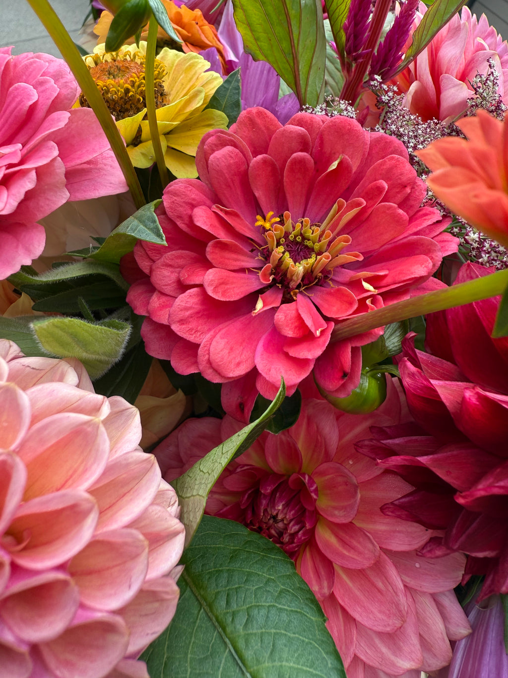Summer Flower Club