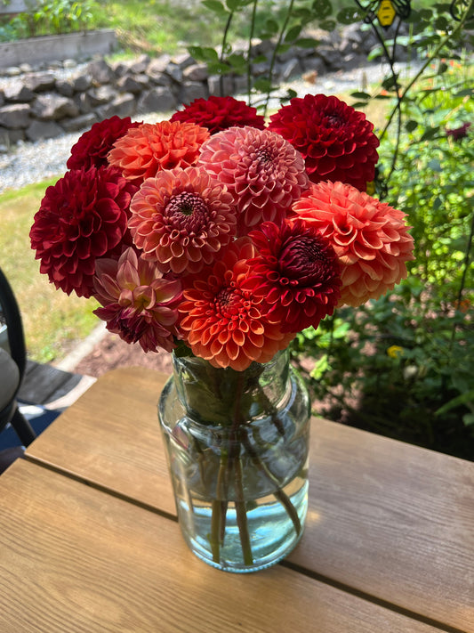 Dahlia Bouquet