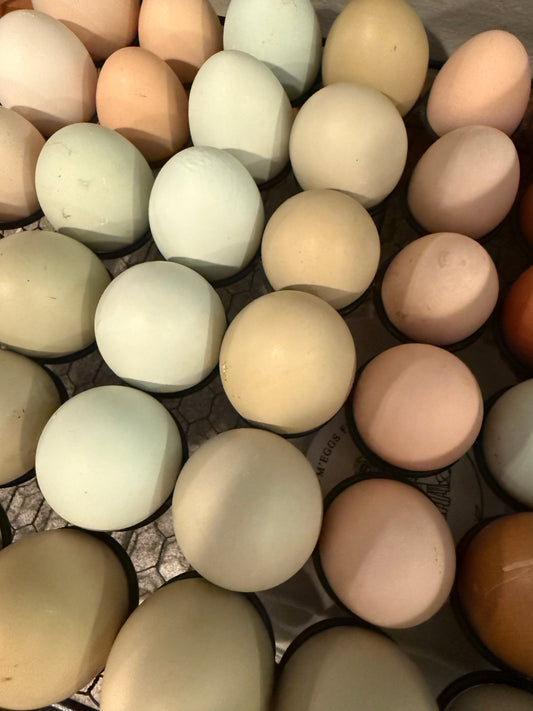 Dozen Farm Fresh m’Eggs