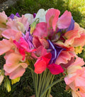 Sweet Pea Bouquet