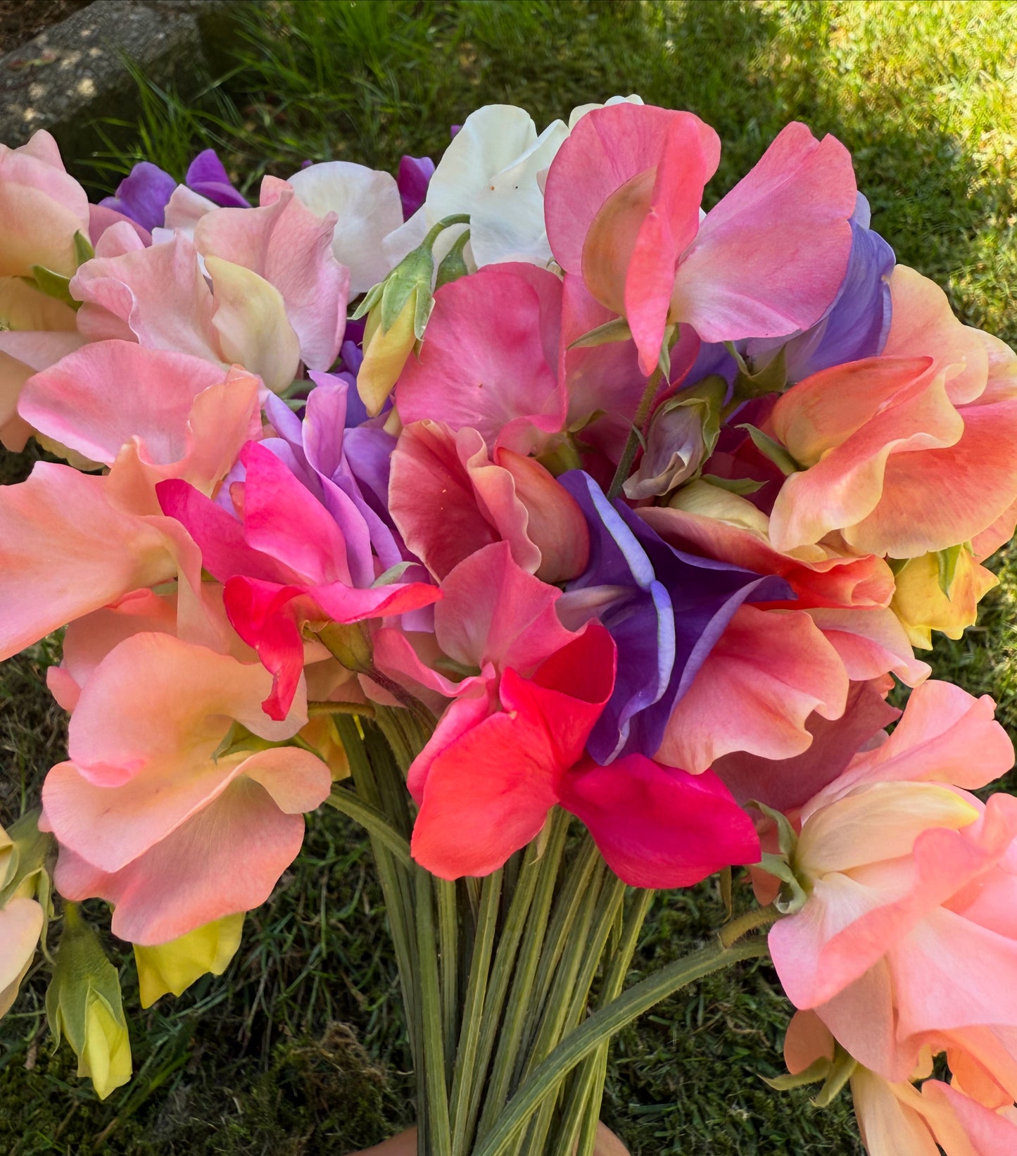 Sweet Pea Bouquet