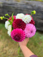 Dahlia Bouquet