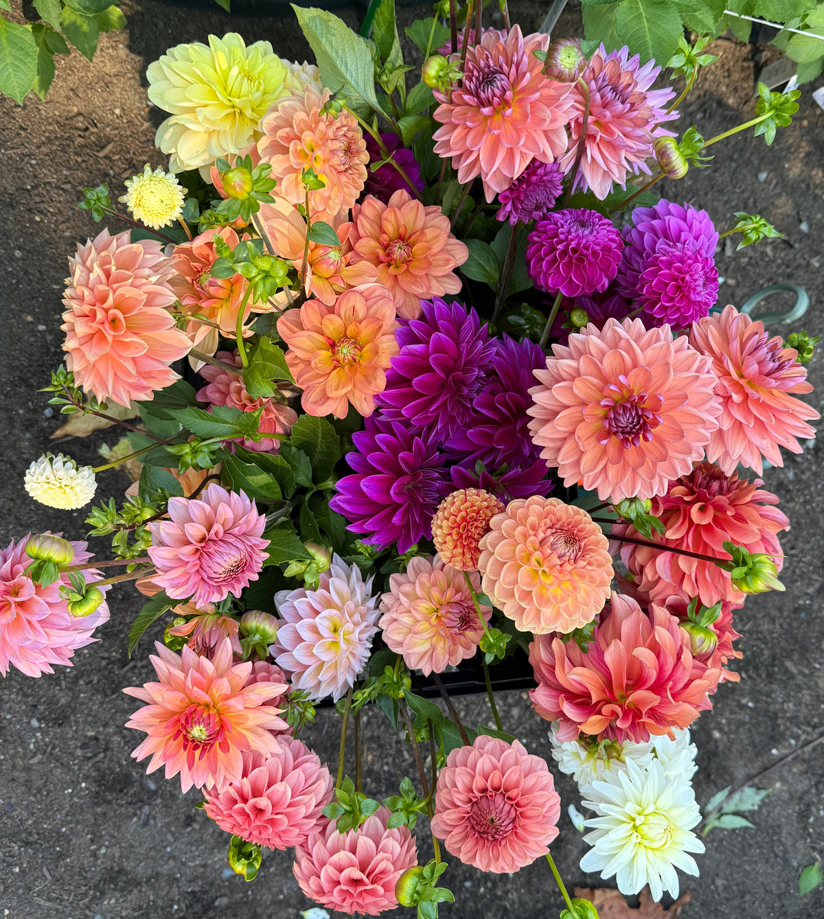 DIY Bloom Bucket